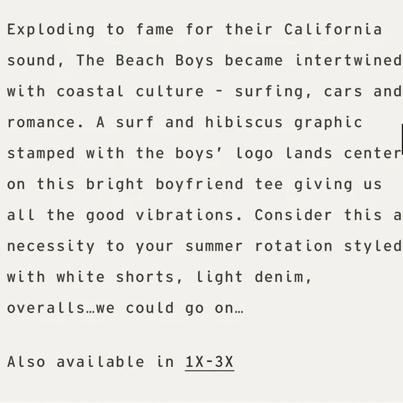 DAYDREAMER | The Beach Boys Surfs Up Boyfriend Tee - Picture 12 of 12